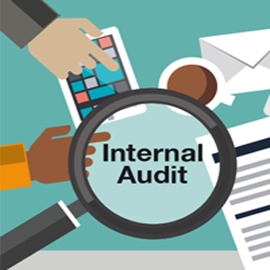 Internal Audit servicesin Kenya
