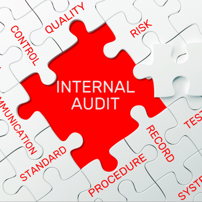 Internal Audit for hospitals