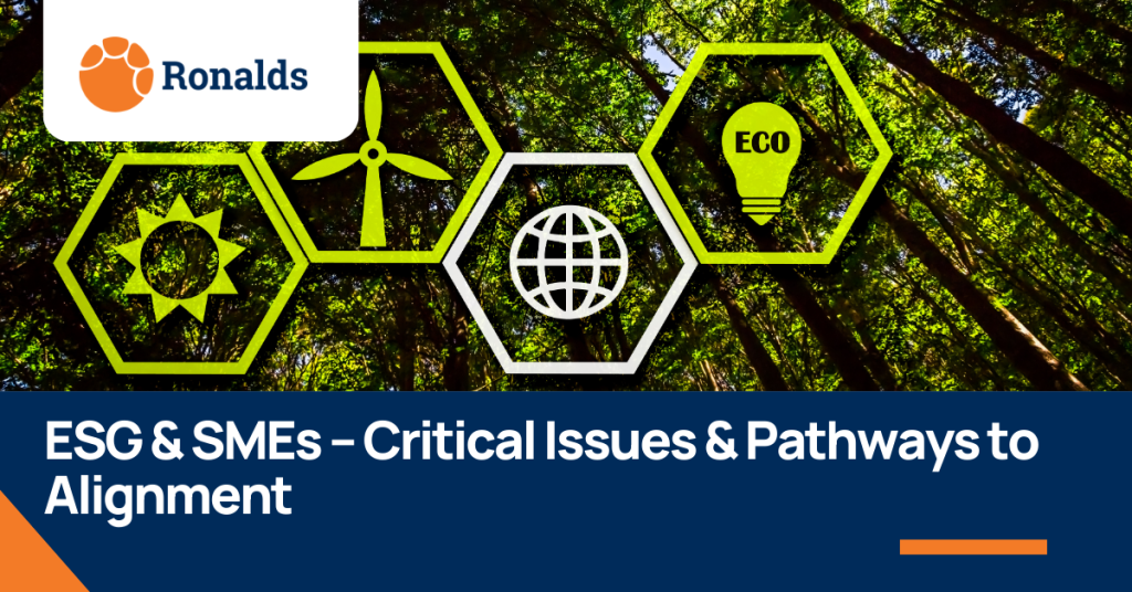 ESGs and SMEs